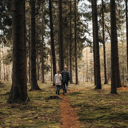 4P Chalet Tolve Met 4 Fietsen Vlakbij Natuurgebieden Drents Friese Wold, Fochteloerveen En Gevangenisdorp Veenhuizen Oosterwolde  المظهر الخارجي الصورة