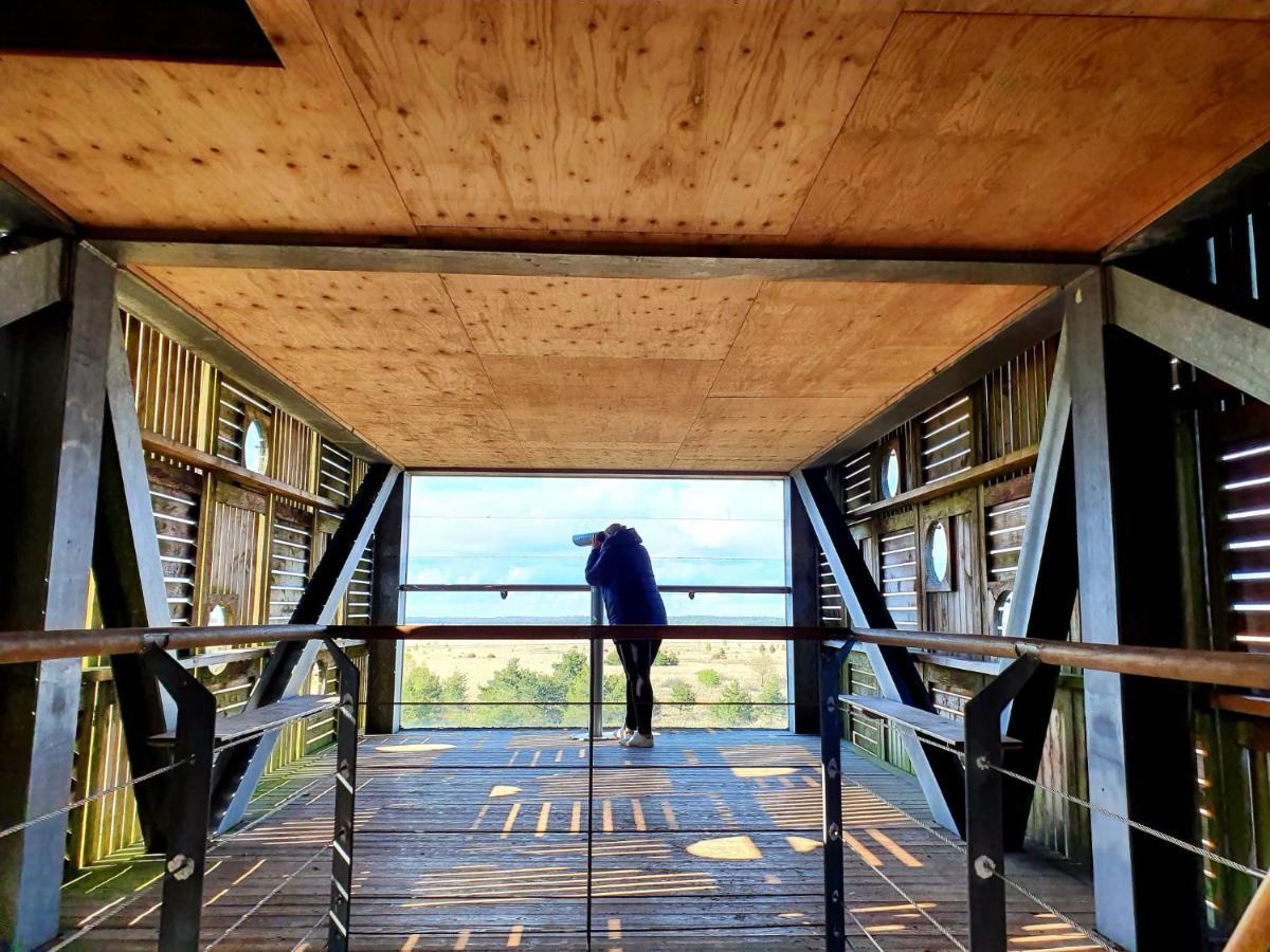 4P Chalet Tolve Met 4 Fietsen Vlakbij Natuurgebieden Drents Friese Wold, Fochteloerveen En Gevangenisdorp Veenhuizen Oosterwolde  المظهر الخارجي الصورة