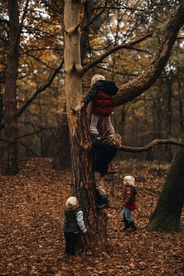 4P Chalet Tolve Met 4 Fietsen Vlakbij Natuurgebieden Drents Friese Wold, Fochteloerveen En Gevangenisdorp Veenhuizen Oosterwolde  المظهر الخارجي الصورة
