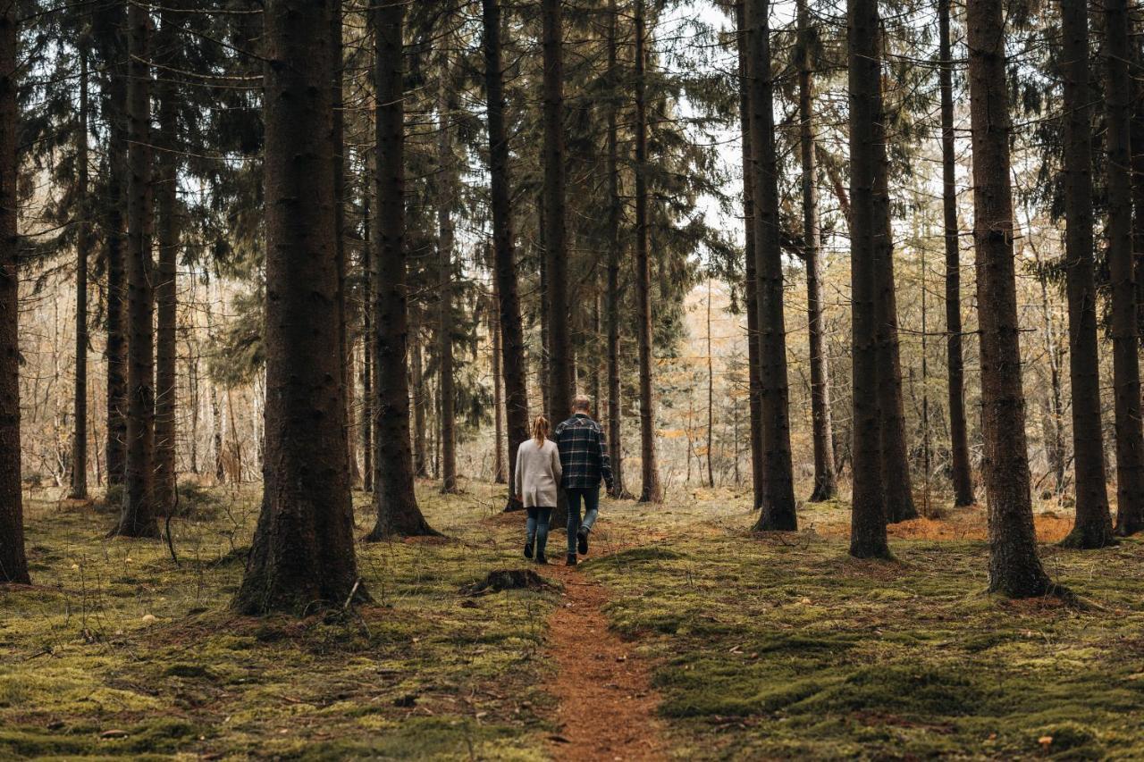 4P Chalet Tolve Met 4 Fietsen Vlakbij Natuurgebieden Drents Friese Wold, Fochteloerveen En Gevangenisdorp Veenhuizen Oosterwolde  المظهر الخارجي الصورة
